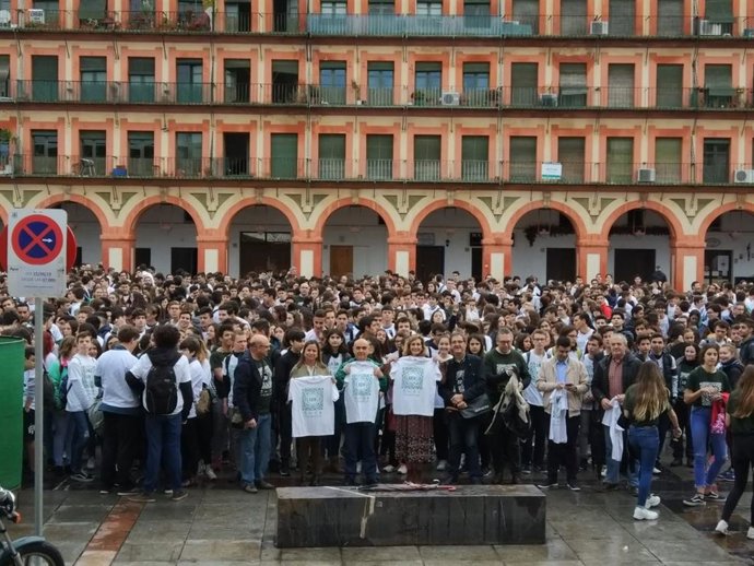 Córdoba.- Educación.- Más de 800 escolares de 32 centros se dan cita en la XXIV Gymkhana Matemática