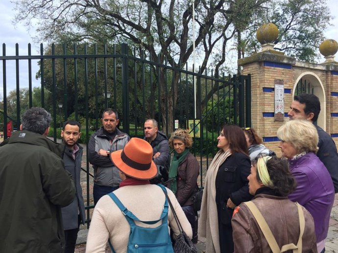 Sevilla.-26M.-Adelante aboga por el bienestar de animales y evitar "escabechina" cuando se limpian los parques