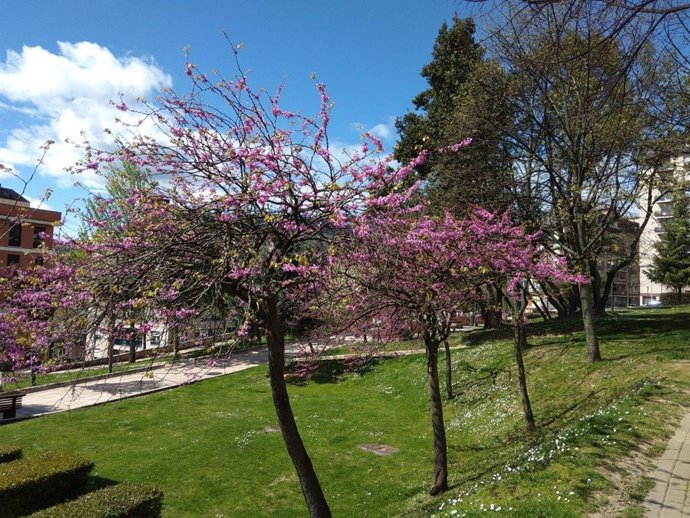 Previsiones meteorológicas del País Vasco para mañana, día 26