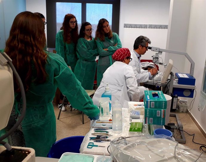 Sevilla.-El Valme forma a través de simulación virtual a los médicos residentes de oftalmología de hospitales sevillanos