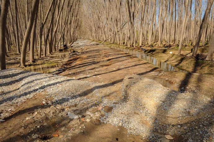 Granada.- La Junta destina cerca de cinco millones para caminos rurales de la provincia