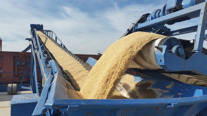 Sevilla.- El Puerto promociona su capacidad de tráfico alimentario en la XI Bolsa de Materias Primas