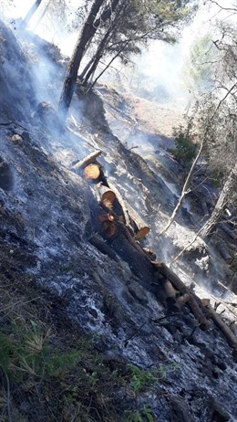 Málaga.- Sucesos.- Declarado un incendio agrícola en Yunquera