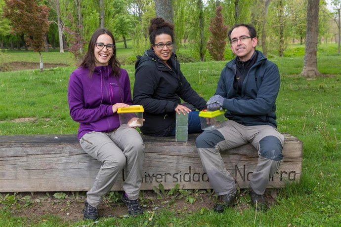 Identificar micromamíferos y censar peces en el río Sadar, talleres de la Universidad de Navarra en el 'Biomaratón 2019'
