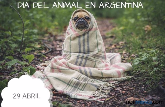 29 De Abril: Día Del Animal En Argentina, ¿Qué Se Celebra En Esta Jornada?