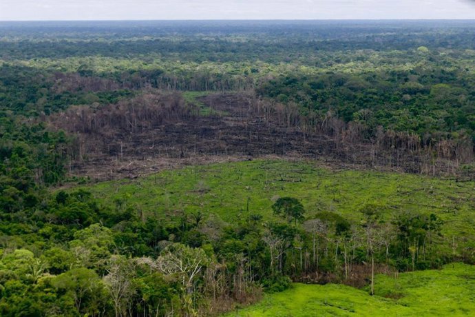 Colombia.- Colombia lanza un plan para contener la deforestación de bosques y selvas