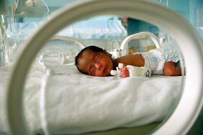 Japón.- Demuestran la eficacia de un útero artificial para salvar a bebés extremadamente prematuros