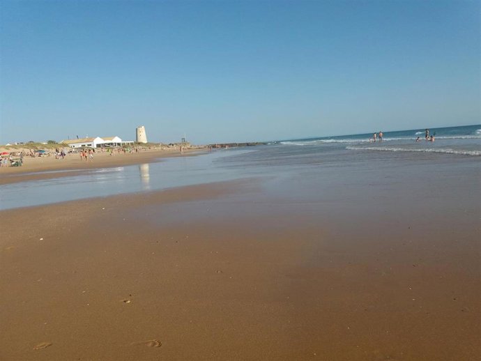 Imagen de la playa de El Palmar (Cádiz)