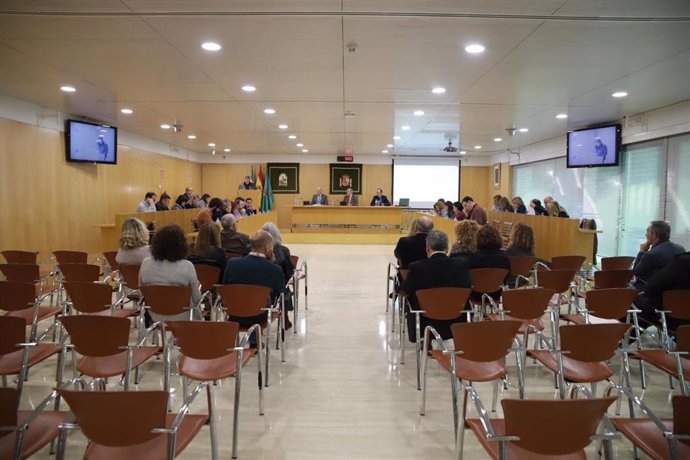 Pleno de la Diputación de Sevilla de este miércoles