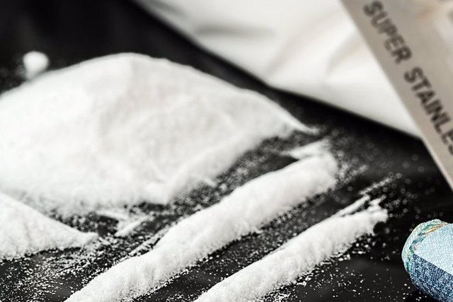El cultivo de cocaína en Colombia sigue amenazando, pero ¿qué ruta siguen los narcóticos colombianos?