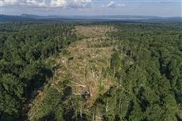 Udalsarea 2030 destina 250.000 euros a proyectos municipales innovadores en cambio climático o biodiversidad