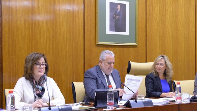 Durán (RTVA) ve necesaria una "reestructuración" pero asegura que "no habrá ni un despido" ni pérdidas de derechos