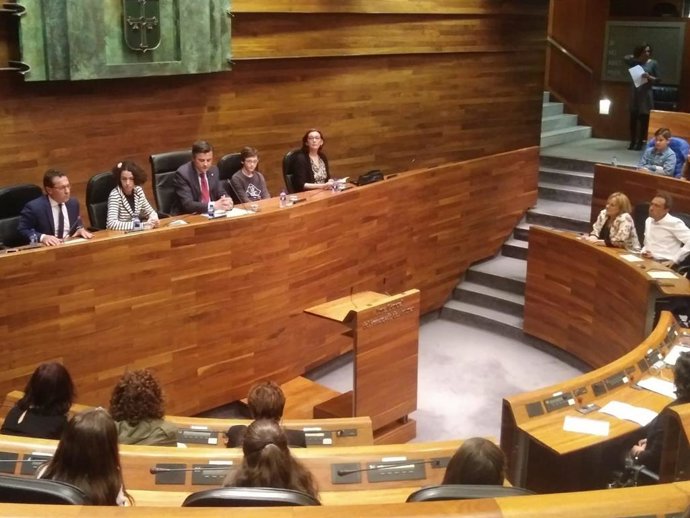 El Principáu "satisfechu" col grau d'aplicación de la Llei d'Usu, mentes que l'Academia fala d'incumplimientos
