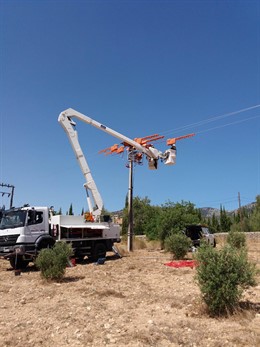 Endesa invierte 200.000 euros en mejorar las líneas de media tensión de Baleares para proteger la avifauna local
