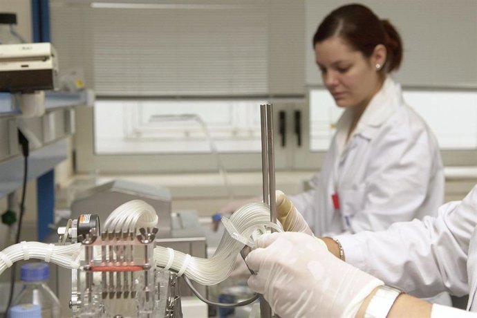 Investigación, investigar, investigador UMA 