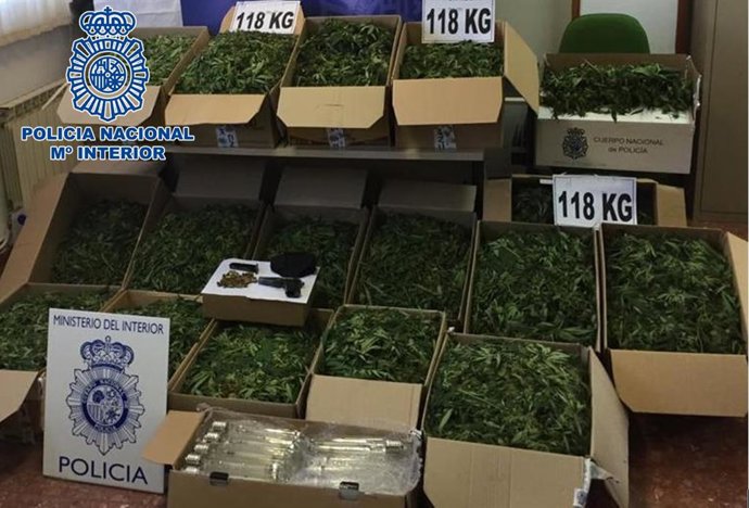 Córdoba.- Sucesos.- Desmantelada una plantación en El Higuerón con 118 kilos de marihuana