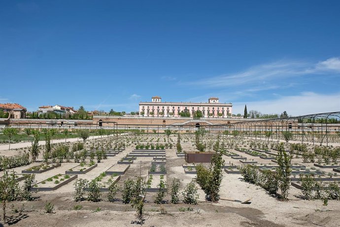 Boadilla.- encolar para mañana también