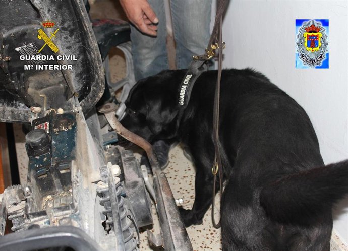 Sucesos.- Desmantelado un punto de venta de droga en Moratalla