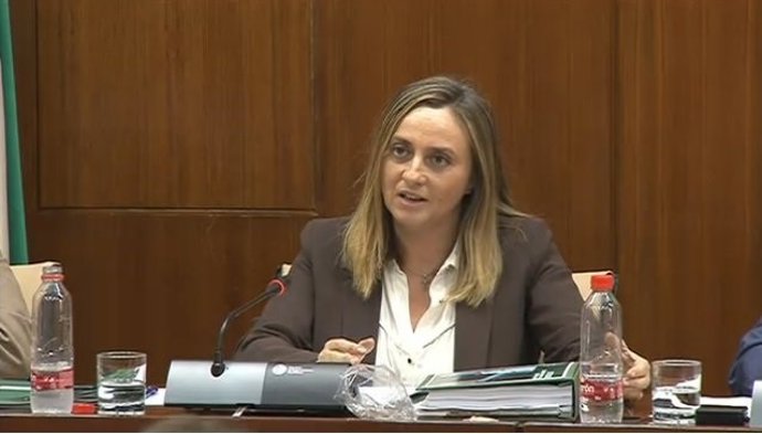 Carazo: Un "rechazo frontal" al borrador de medidas para taxis y VTC sólo se entendería como una postura por intereses