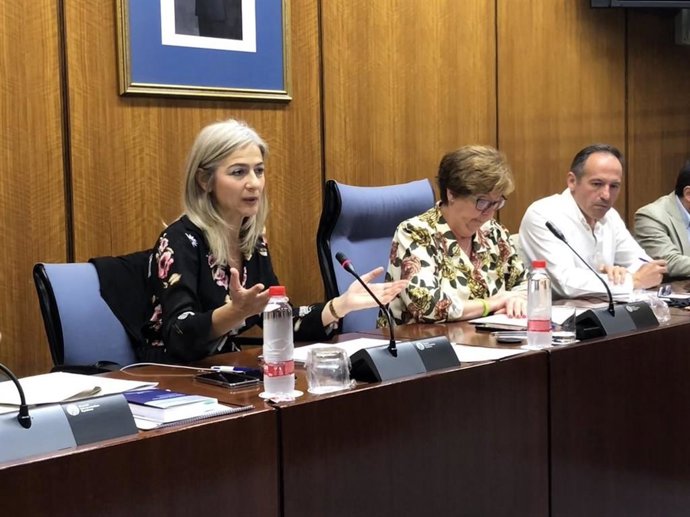 Cultura refuerza el programa 'Enrédate' para agilizar trámites y dar cabida a las demandas del sector y ayuntamientos