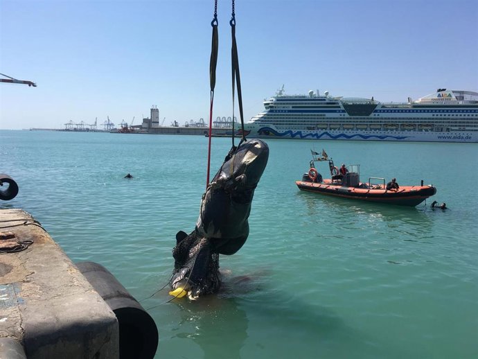 Valencia.- Sucesos.- Un ferri choca con un cachalote y arrastra sus restos hasta la dársena del puerto