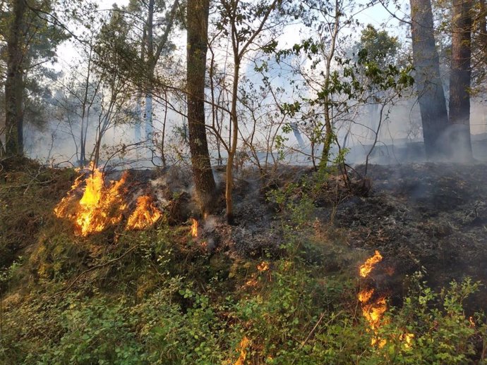 As hectáreas queimadas polo incendio forestal de Dodro e Rianxo (A Coruña) ascenden a 850