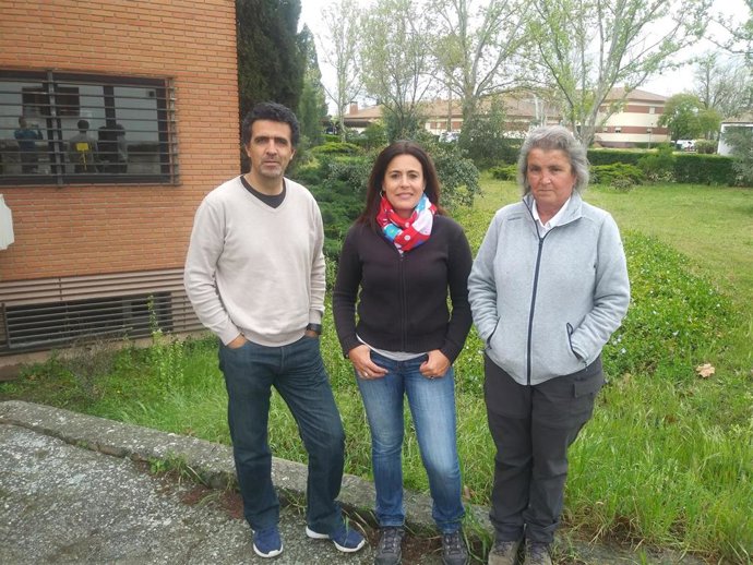 Granada.- Validan un tratamiento forestal para aumentar la adaptación de los árboles frente al cambio climático