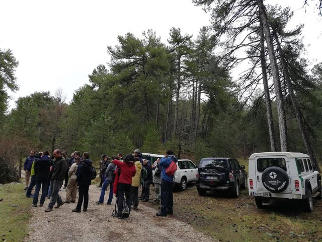 Jaén.- Cazorla acoge un curso de ámbito nacional del LIFE RedBosques