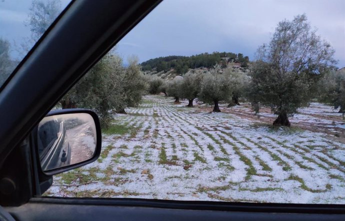 PEDRISCO LA UNIÓ. ESPERAR AVA