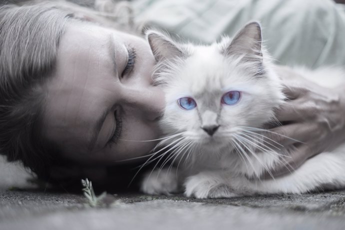 3 De Mayo: Día Mundial De Abrazar A Tu Gato, ¿Qué Beneficios Tiene?