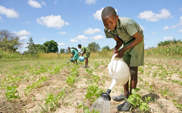 El pedagogo Franceso Tonucci, Fundación Pablo Horstmann y 'Cinco Continentes', premios UNICEF Comité Español 2019