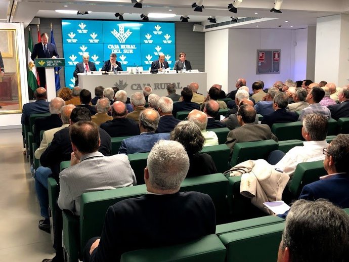 Caja Rural del Sur aprueba las cuentas de 2018 con un 50% más de beneficio hasta los 47,6 millones de euros