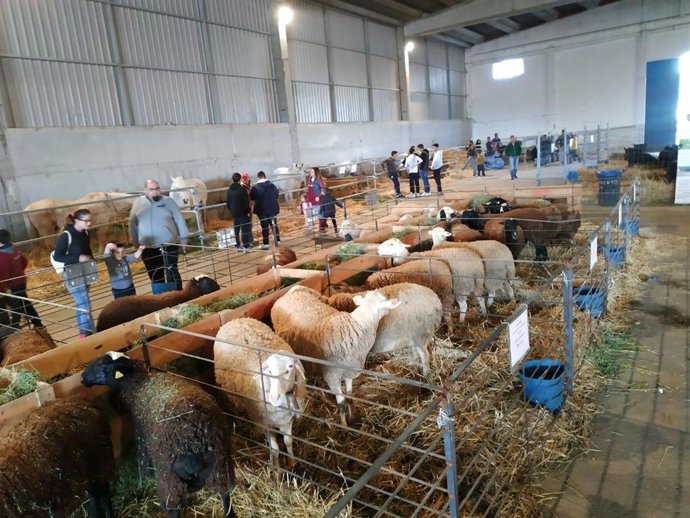 Zaragoza.- Guillén subraya en Épila la apuesta de Aragón por la agroindustria para asentar población en el medio rural
