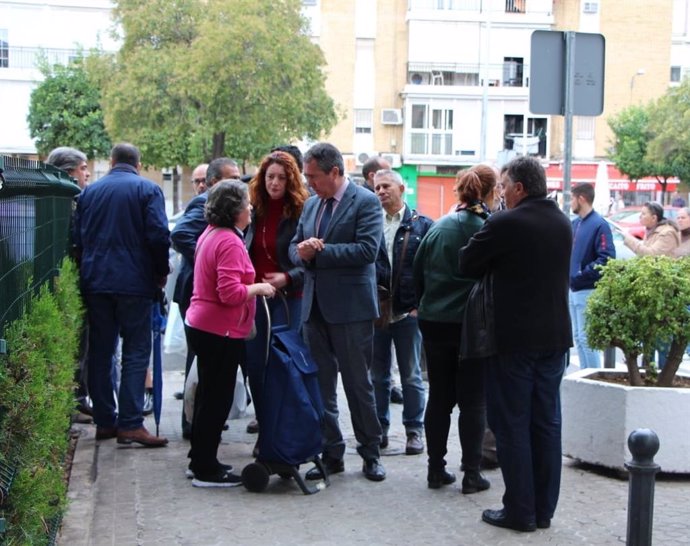 Sevilla.- El Ayuntamiento asume el mantenimiento del arbolado de La Carrasca y aprueba un plan para su conservación