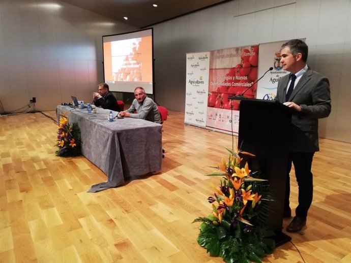 La producción de tomate en la Región de Murcia aumentó un 7,3% en 2018
