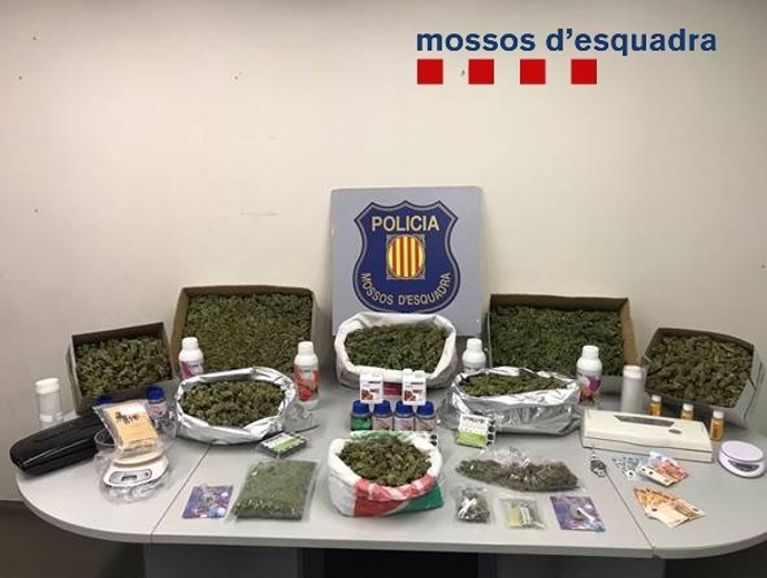 Successos.- Desarticulat un grup criminal que traficava amb marihuana a Corbera (Barcelona)