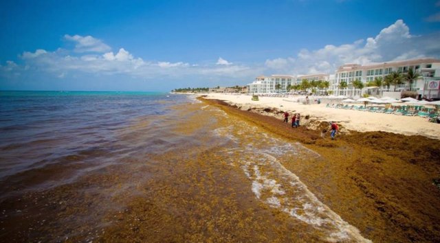 México crea un grupo trabajo para atender la crisis de las playas Caribe