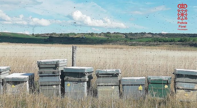 Sucesos.- Investigado un apicultor de Villafranca después de que una nube de abejas atacara a cuatro jinetes