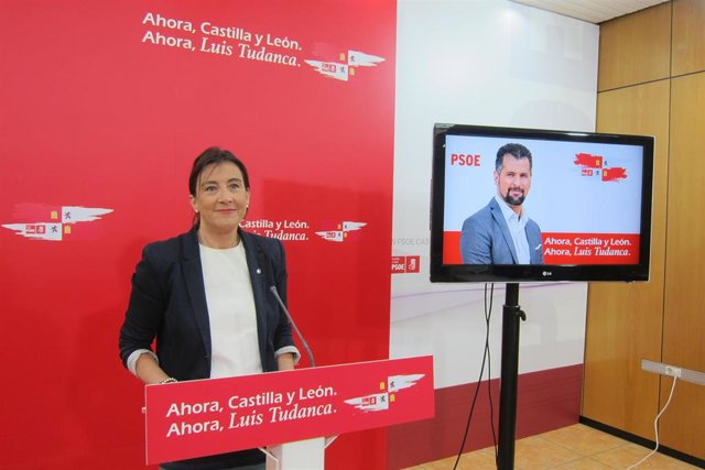 26M.- PSOE Advierte De Que Cyl Puede Ir A Peor Con La "Derecha Corrupta Y Extrema Derecha" Y Llama Al Cambio "Ahora"