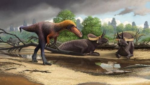 Suskityrannus hazelae, el nuevo pariente más pequeño del T. Rex