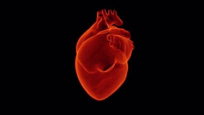Los expertos destacan la importancia de la movilización precoz del paciente cardiaco para evitar muchas secuelas
