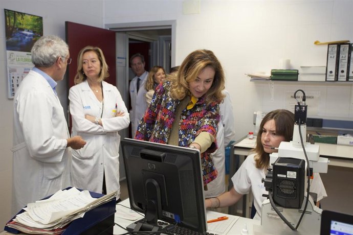 La Rioja incorporará a finales de año una prueba en sangre no invasiva para gestantes de alto riesgo