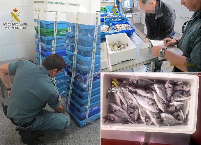 Sucesos.- La Guardia Civil decomisa más de una tonelada de pescado en dos pescaderías y en una lonja