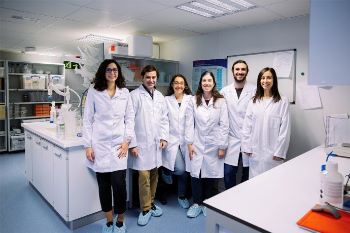 Dos centros de la UB crean una plataforma de ensayo de fármacos basados en células madre humanas