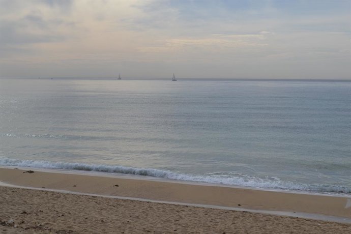 Sorra, platja, mar, Platja de Palma