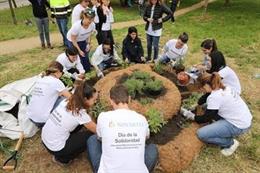 Empresas.- El Grupo Novartis celebra en España la 23 edición del Día de la Solidaridad