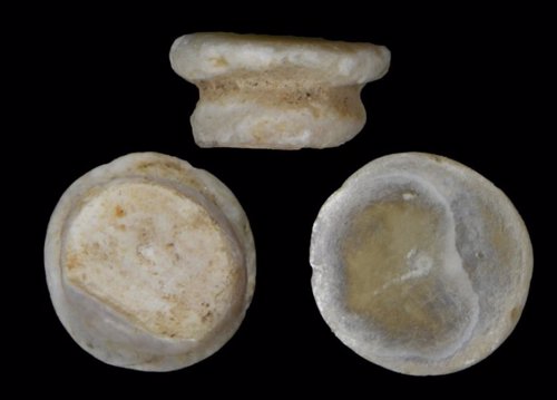 Adornos de conchas de moluscos proliferaron por Europa hace milenios