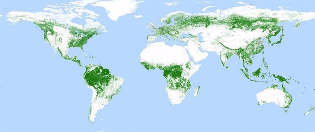 Un satélite alemán produce un mapa global de bosques a resolución de 50 metros