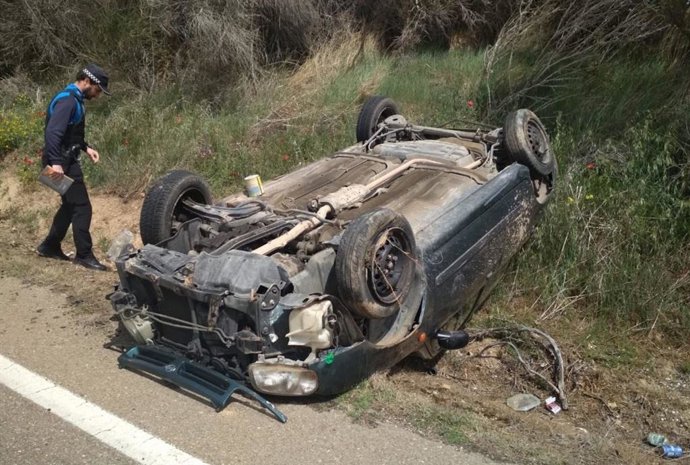Sucesos.- Herido tras caerle encima un rama en el Paseo Zorrilla de Valladolid