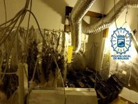 Detenido por agredir a su pareja delante de sus hijos y tener una plantación de marihuana en el piso que había okupado